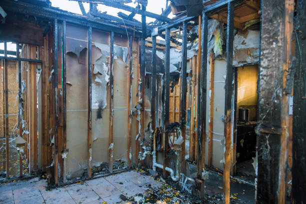Professional Smoke Damage Removal technician working in Durant, IA
